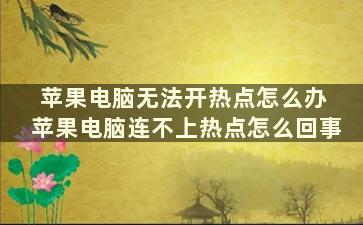 苹果电脑无法开热点怎么办 苹果电脑连不上热点怎么回事